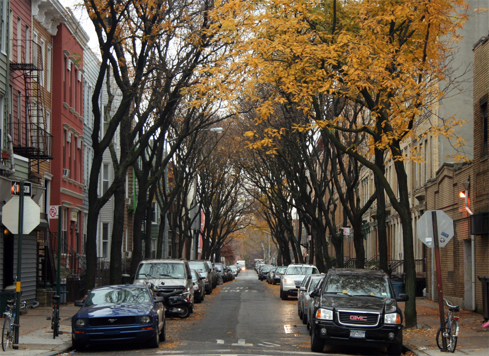 Greenpoint Trees and Cobblestones