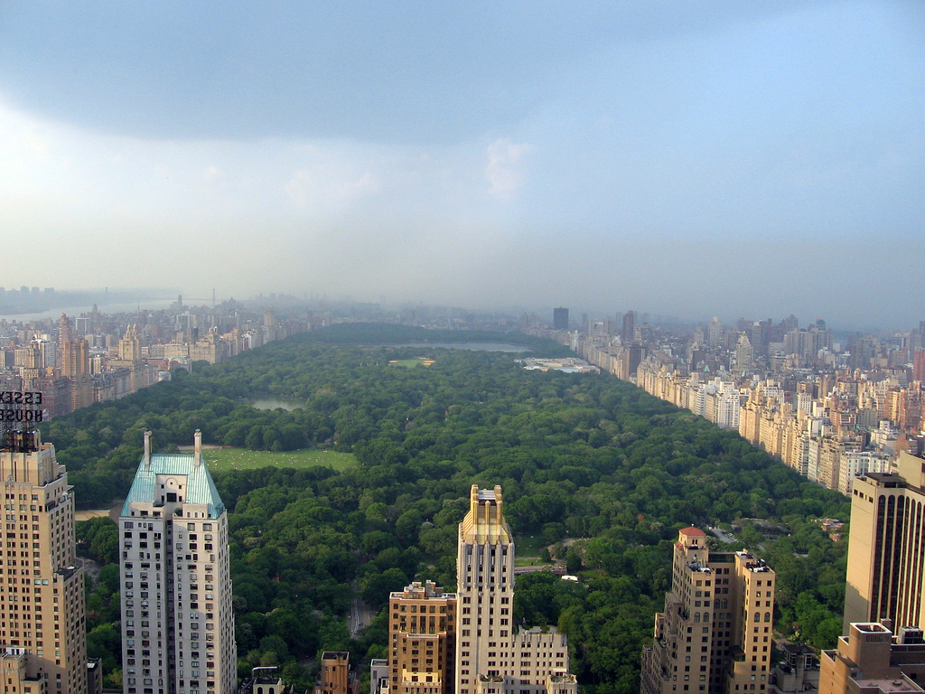 Summers Above Central Park