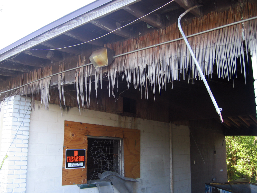 The Abandoned Big Bamboo Lounge of Kissimmee, FL