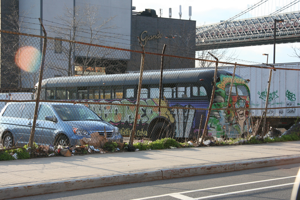 The Psychedelic Bus Dog