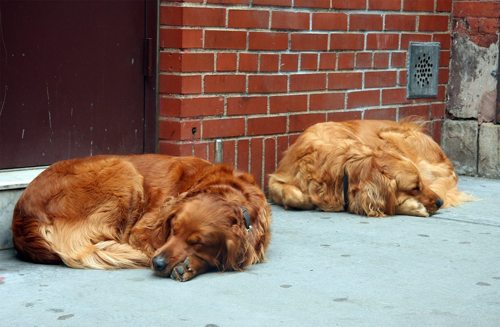 Sleeping in Soho