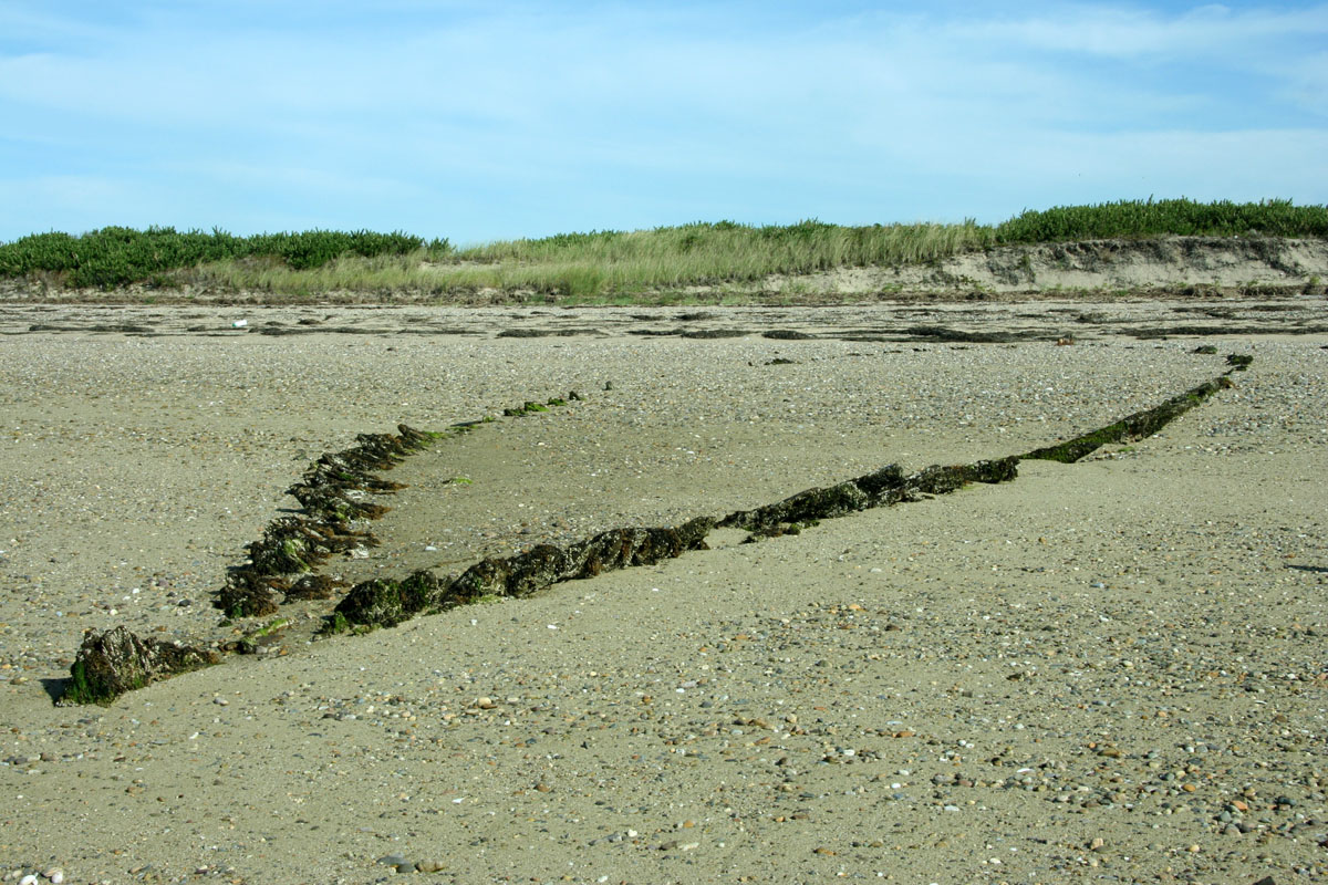 Forgotten Shipwrecks & Beachside Graves