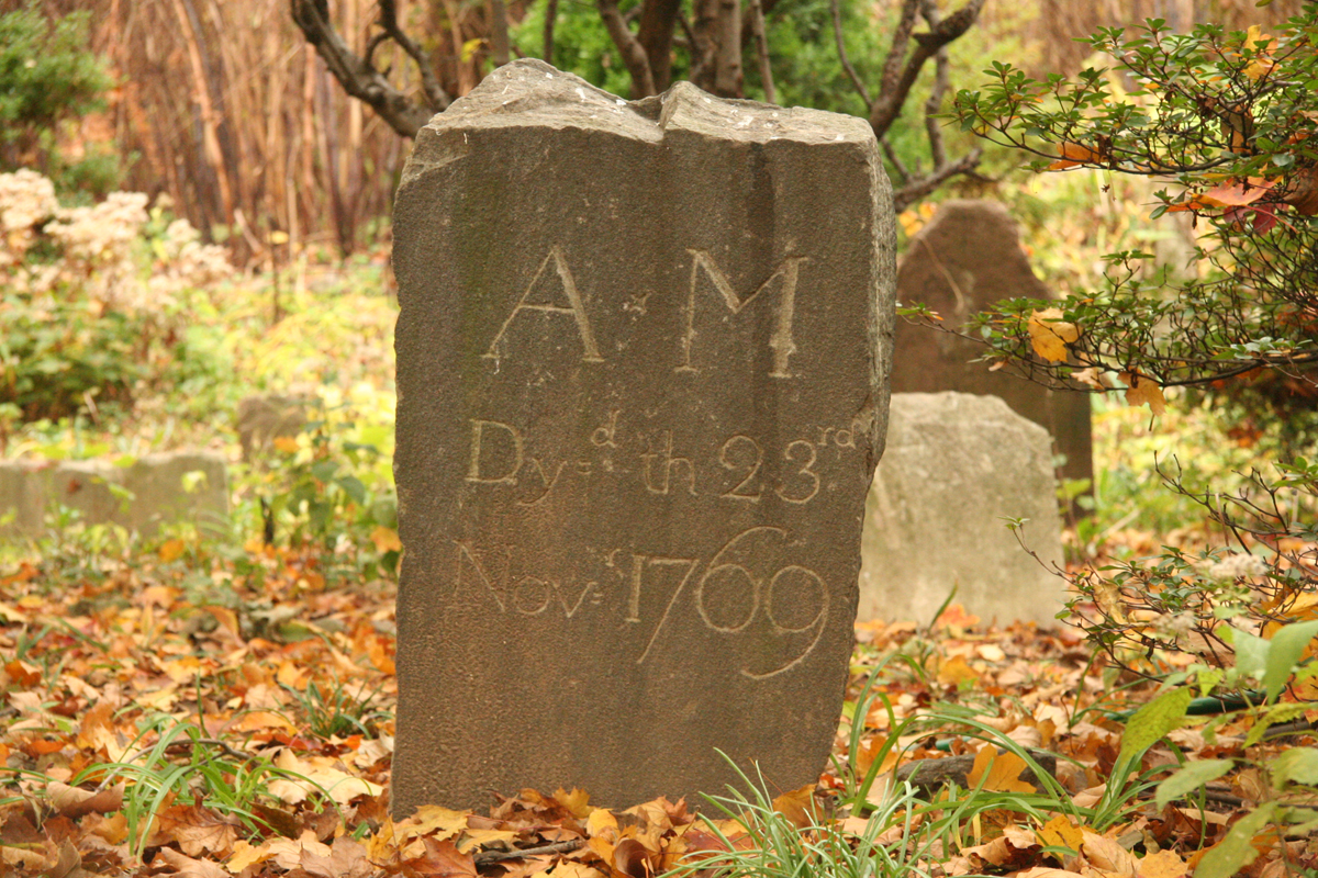 The Abandoned Farm Cemetery in Queens