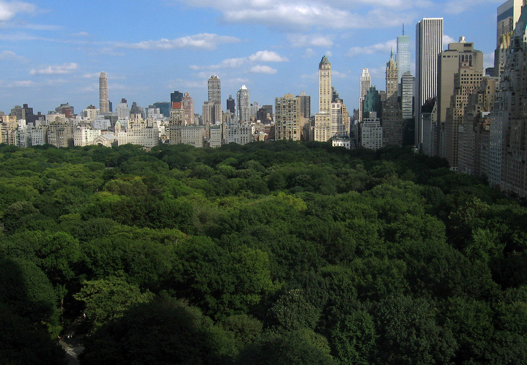 The View From An A-Lister’s Hotel Room