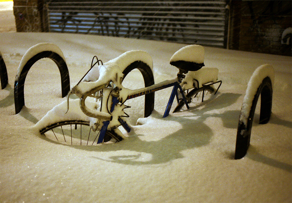 A Snowstorm In Brooklyn