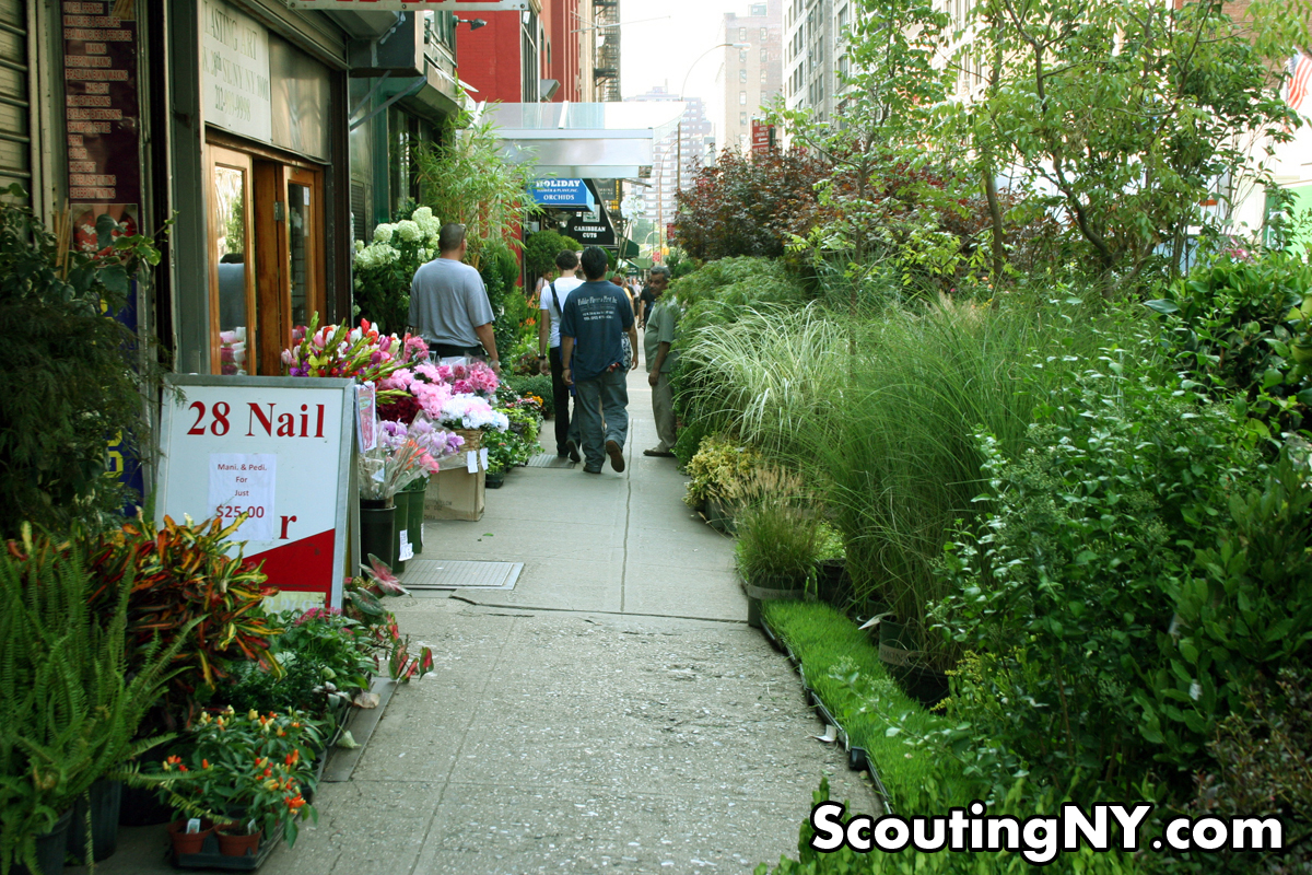 The Jungles of West 28th Street – Exploring New York’s Flower District