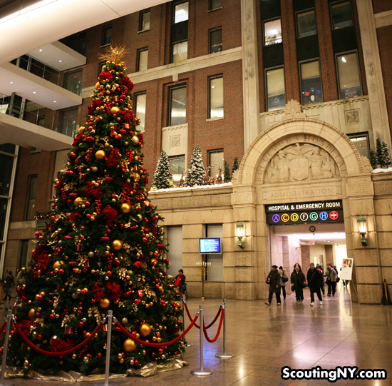 Happy Holidays From Bellevue Hospital