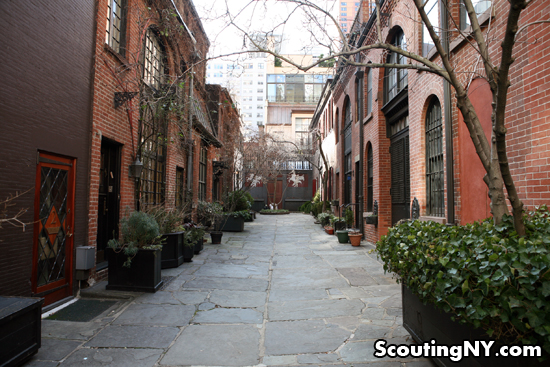 Sniffin’ Around Sniffen Court