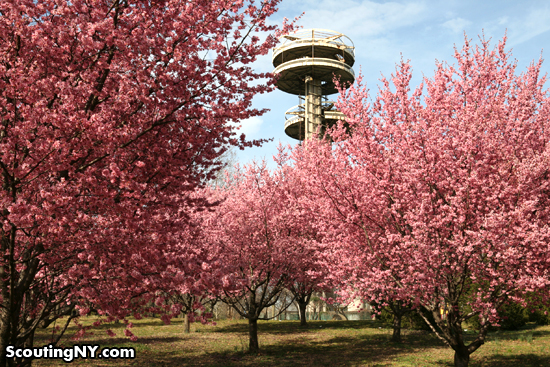 Springtime In Queens