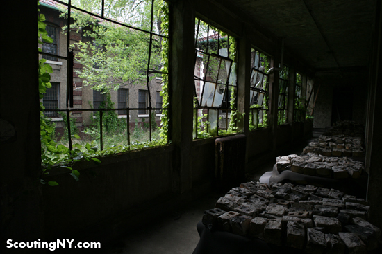 Exploring Abandoned Ellis Island – And How It Can Be Saved