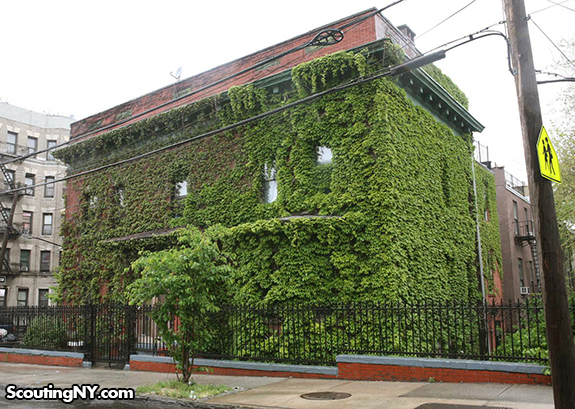 The Bronx Is The Friendliest Borough In NYC